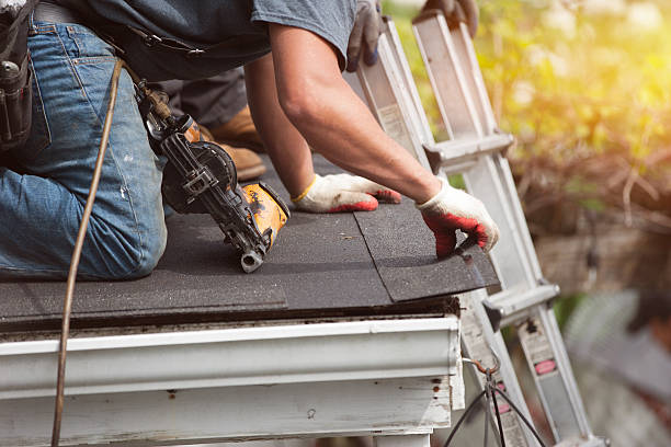 Best Gutter Installation and Roofing  in Hayden, CO